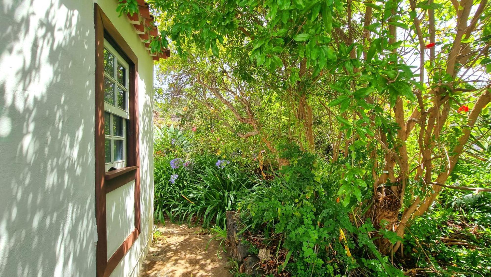 El Jócamo Vila Puntagorda Exterior foto